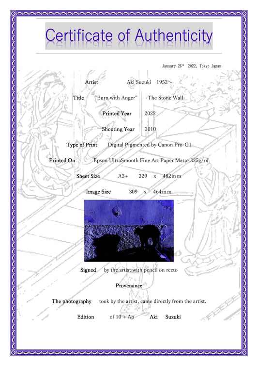 「怒り」　-石の壁シリーズ-